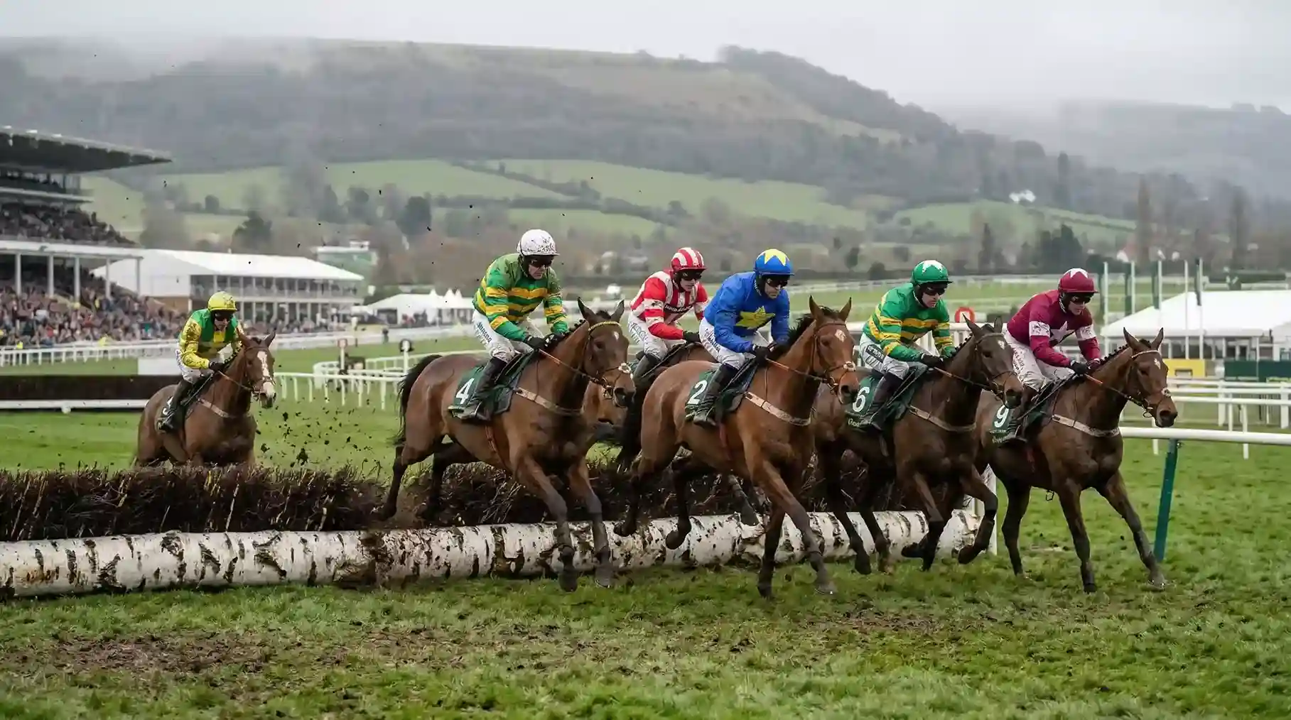 Horses jumping a fence at the Cheltenham Festival