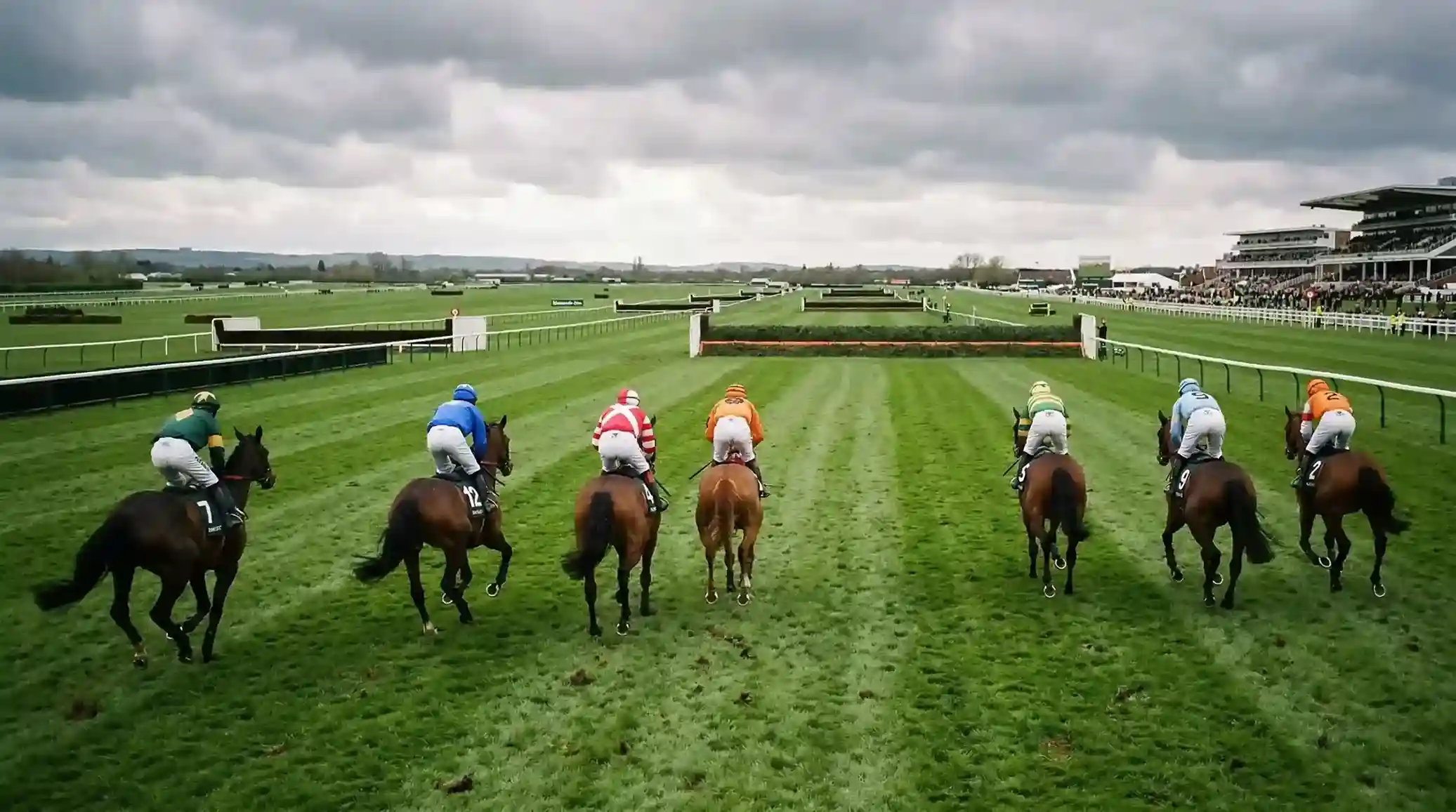 A thinning field of steeplechase horses approaching an Aintree fence