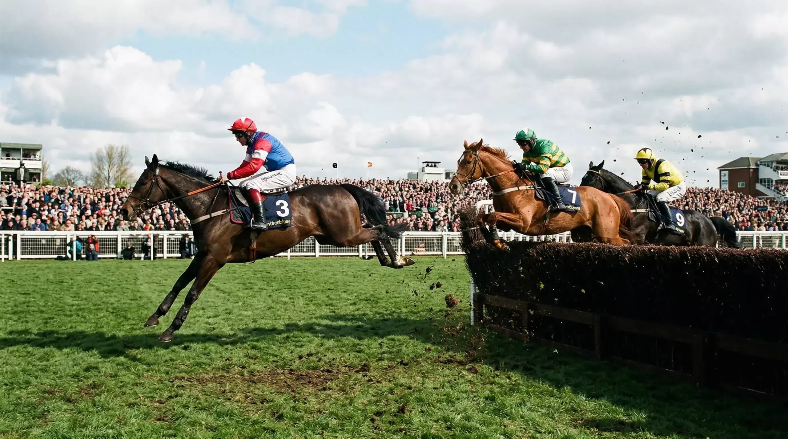 Horses jumping Becher