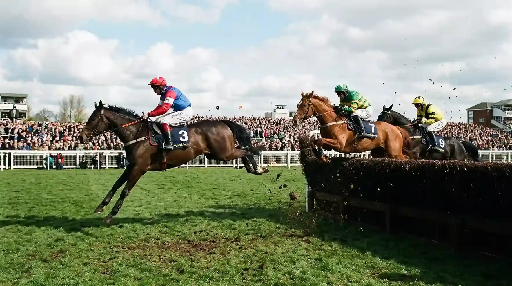 Horses jumping Becher