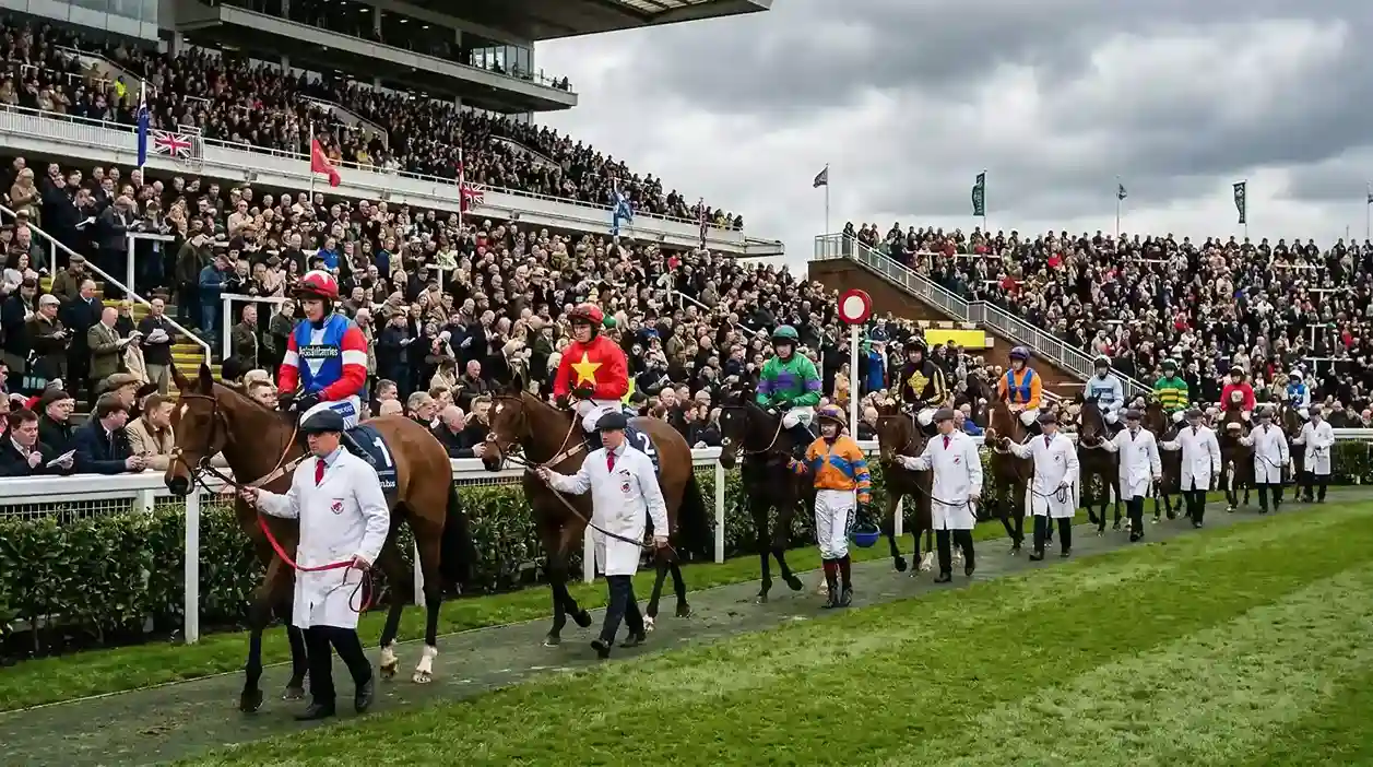 Grand National runners parading in front of the Aintree grandstand